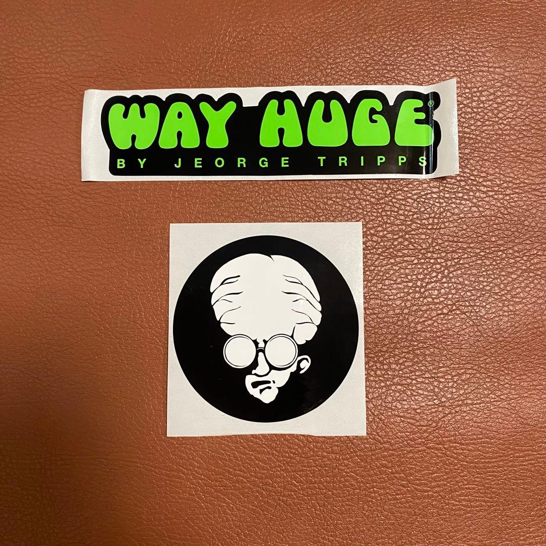 【美品】WAY HUGE / Smalls Aqua Puss アナログディレイ