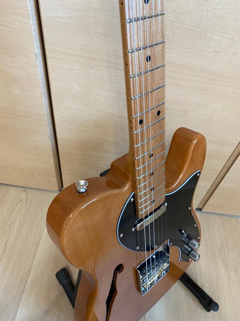 Harley Benton ハーレーベントン テレキャスター シンラインタイプ