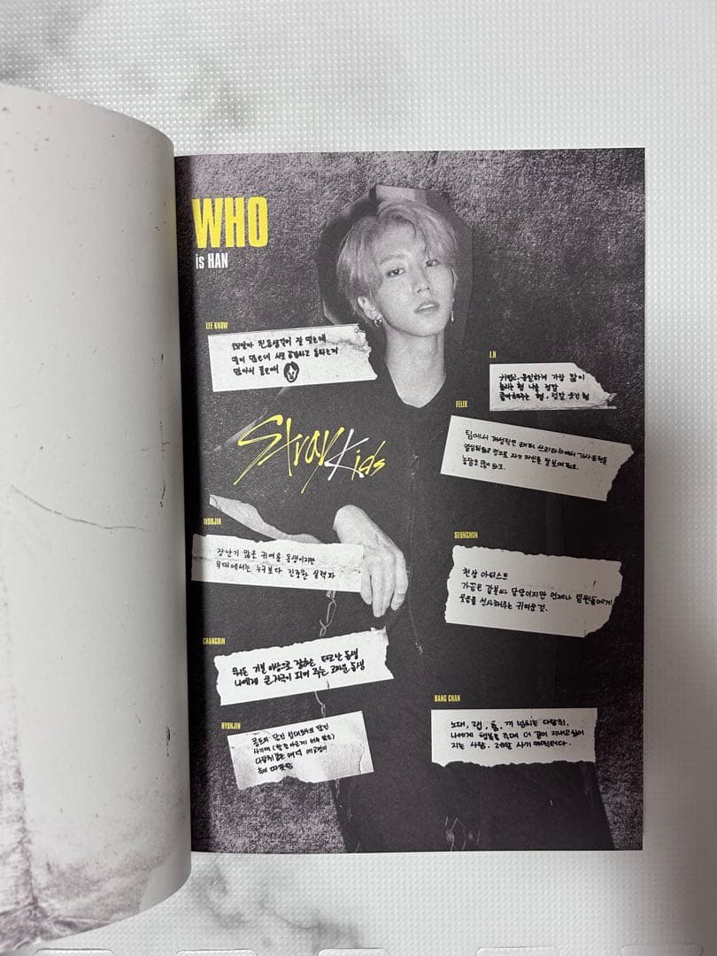 Stray Kids 公式グッズセット