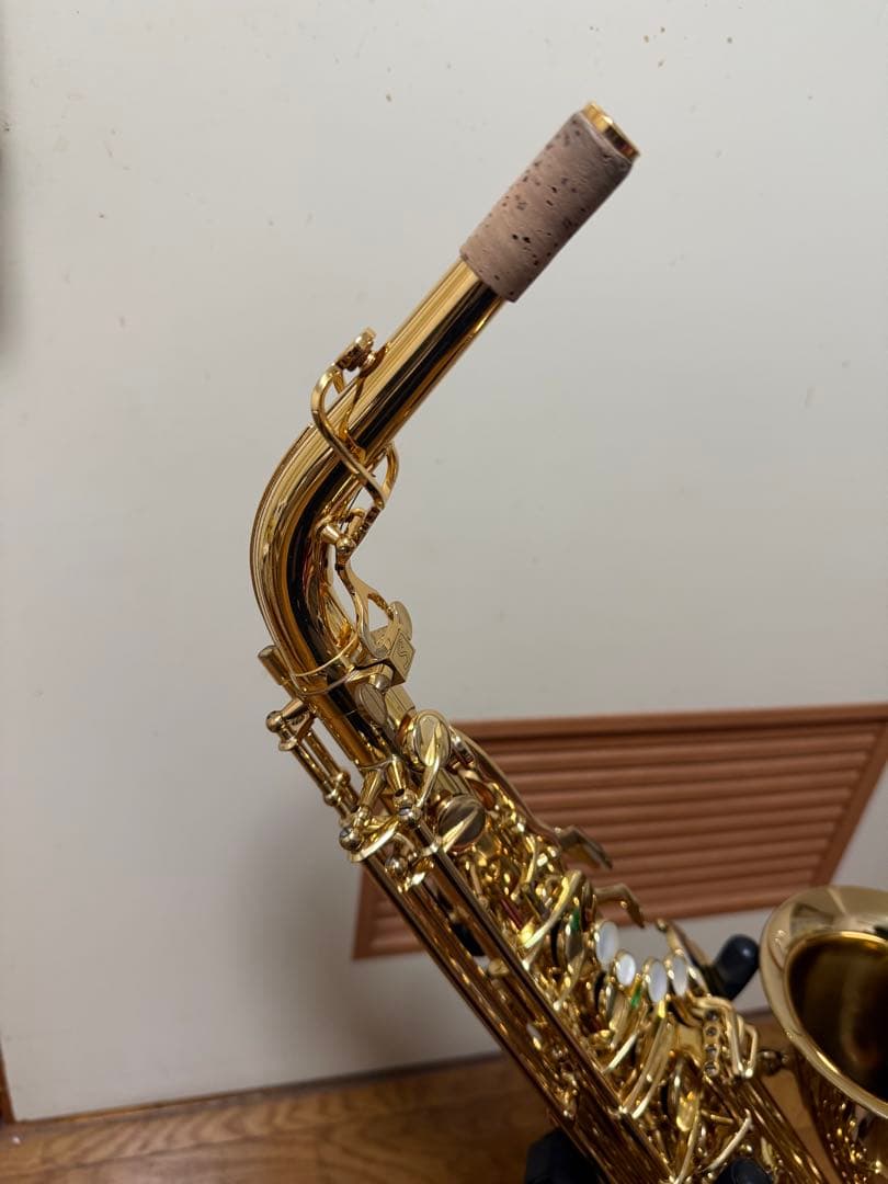 アルトサックスA2000GPシルフィード（シャイニーケース付き）