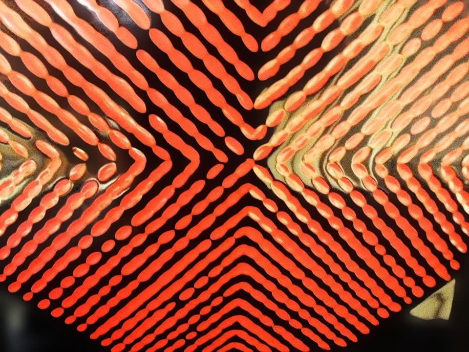 会席膳 本漆器 赤膳 天然木 五客 隅折れ 漆器膳