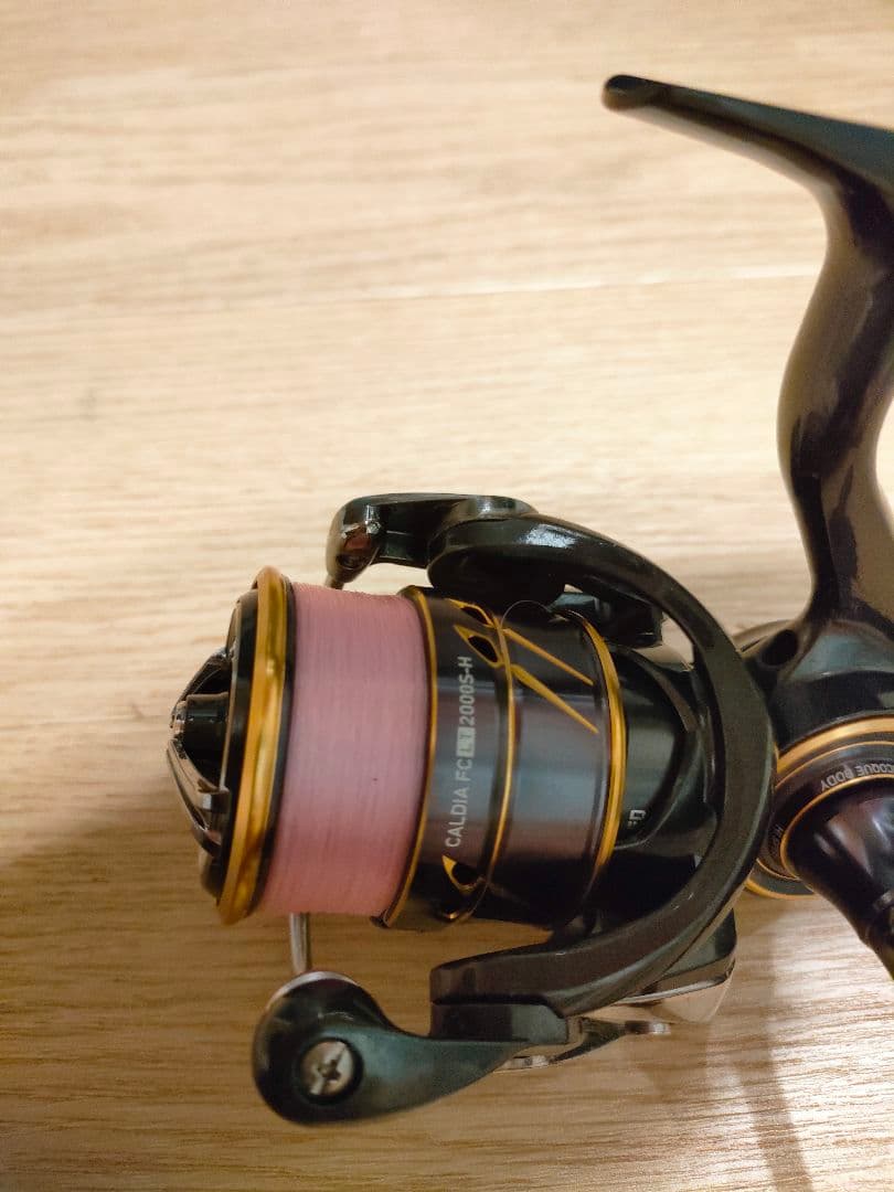 ダイワ　21カルディア