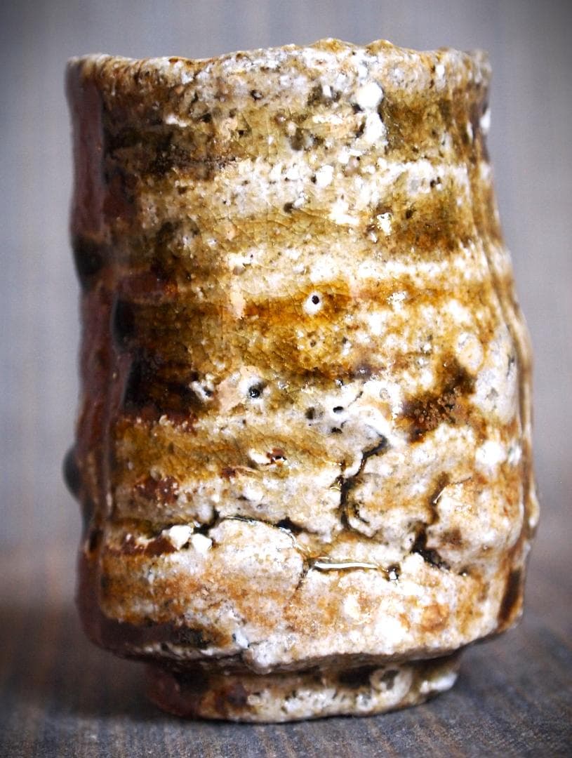 新作★迫能弘【師：辻清明】★赤信楽《窯変》酒器★ビードロ