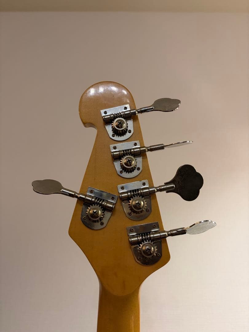 SX スティングレイ