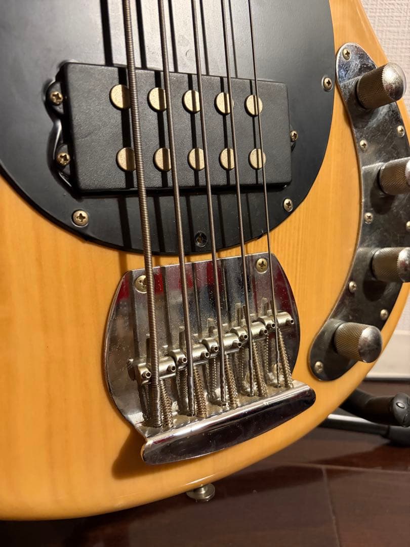 SX スティングレイ