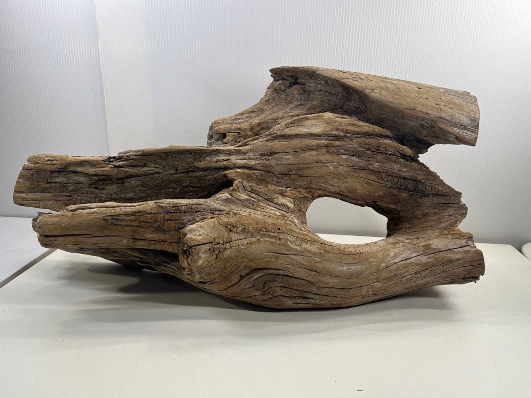 W28特大流木アク抜き済み流木 爬虫類シェルター 登り木 インテリア 生け花