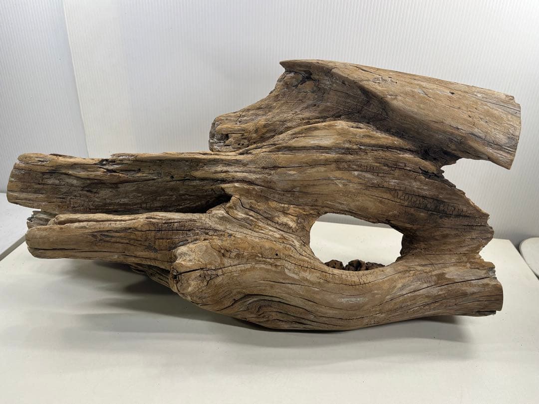 W28特大流木アク抜き済み流木 爬虫類シェルター 登り木 インテリア 生け花