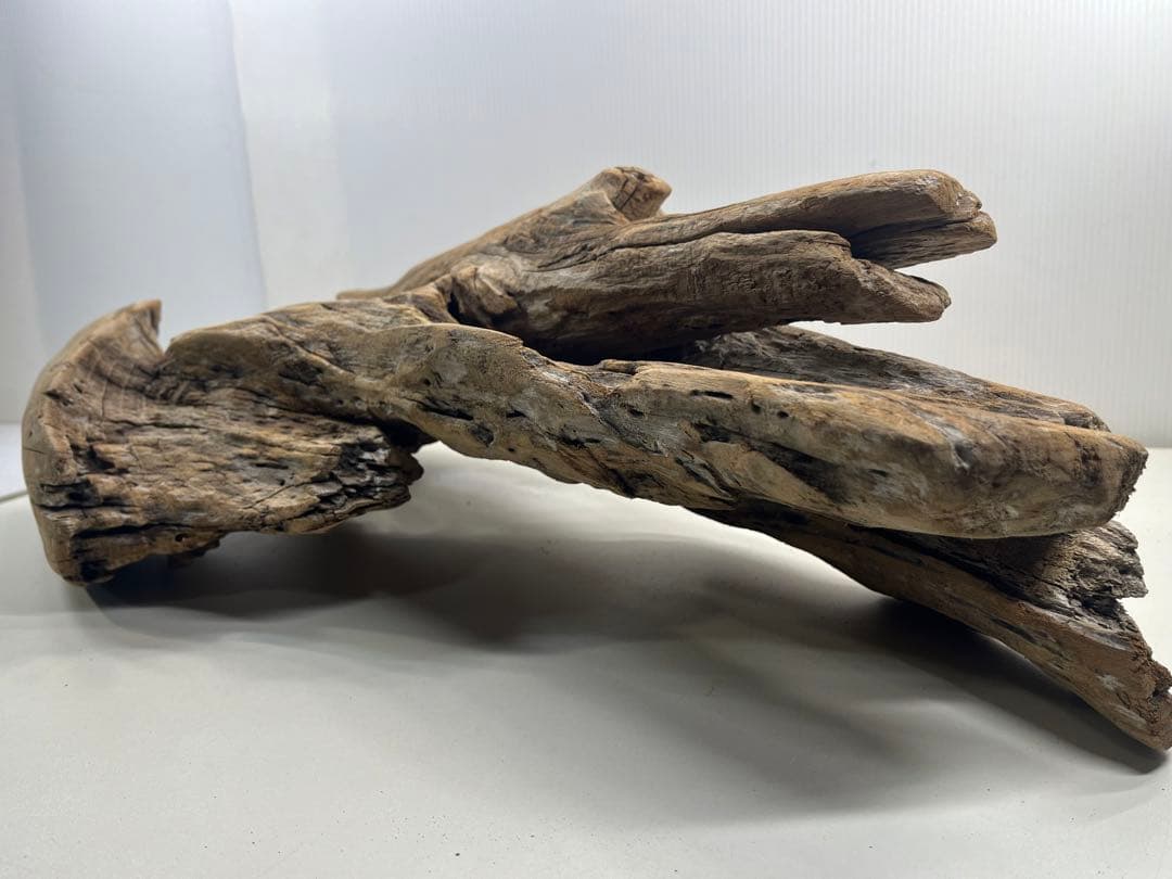 W28特大流木アク抜き済み流木 爬虫類シェルター 登り木 インテリア 生け花