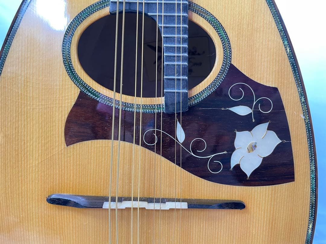 sound ena サウンドエナ M-200 最上位機種マンドリン