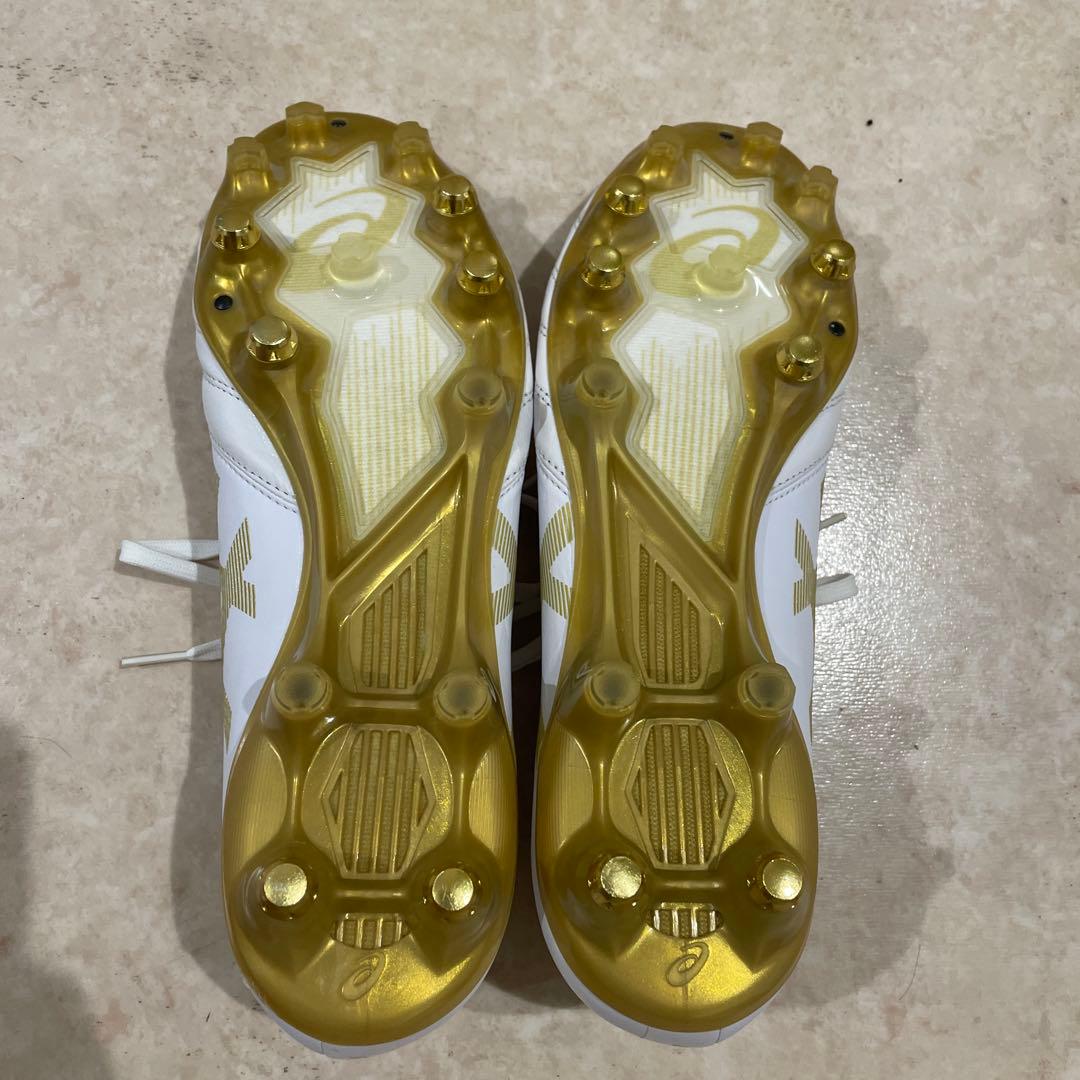 ASICS DS LIGHT X-FLY PRO 取替式