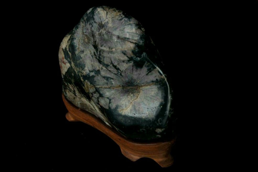 【希少・美石】菊花石 菊紋石 白菊 802g 天然石 水石 盆石 盆景 鉱物