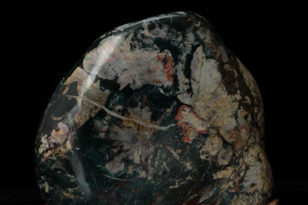 【希少・美石】菊花石 菊紋石 白菊 802g 天然石 水石 盆石 盆景 鉱物