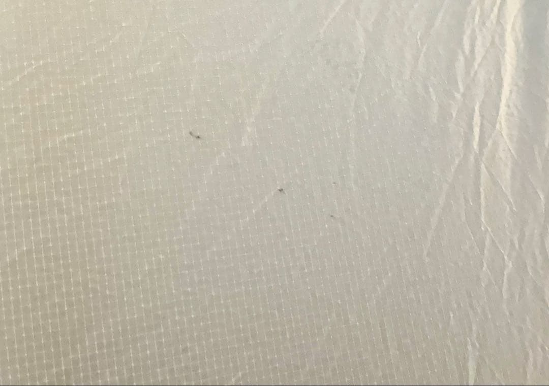 ゼログラム エルチャルテン プロ DAC 1.5P