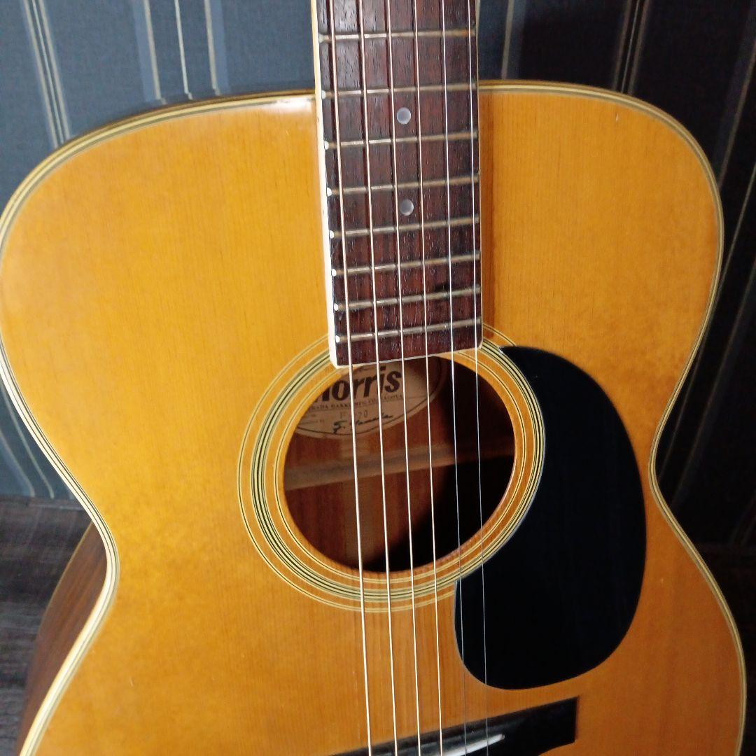 常田大希使用モデル morrisアコギ F-20 ギター KingGnu