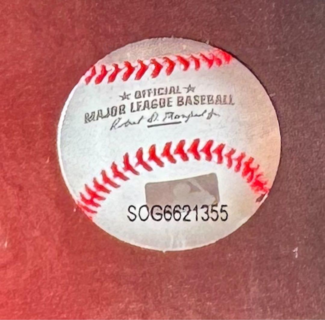 レア/500大谷翔平‼️ FOCO ボブルヘッド ドジャース OHTANI MLB