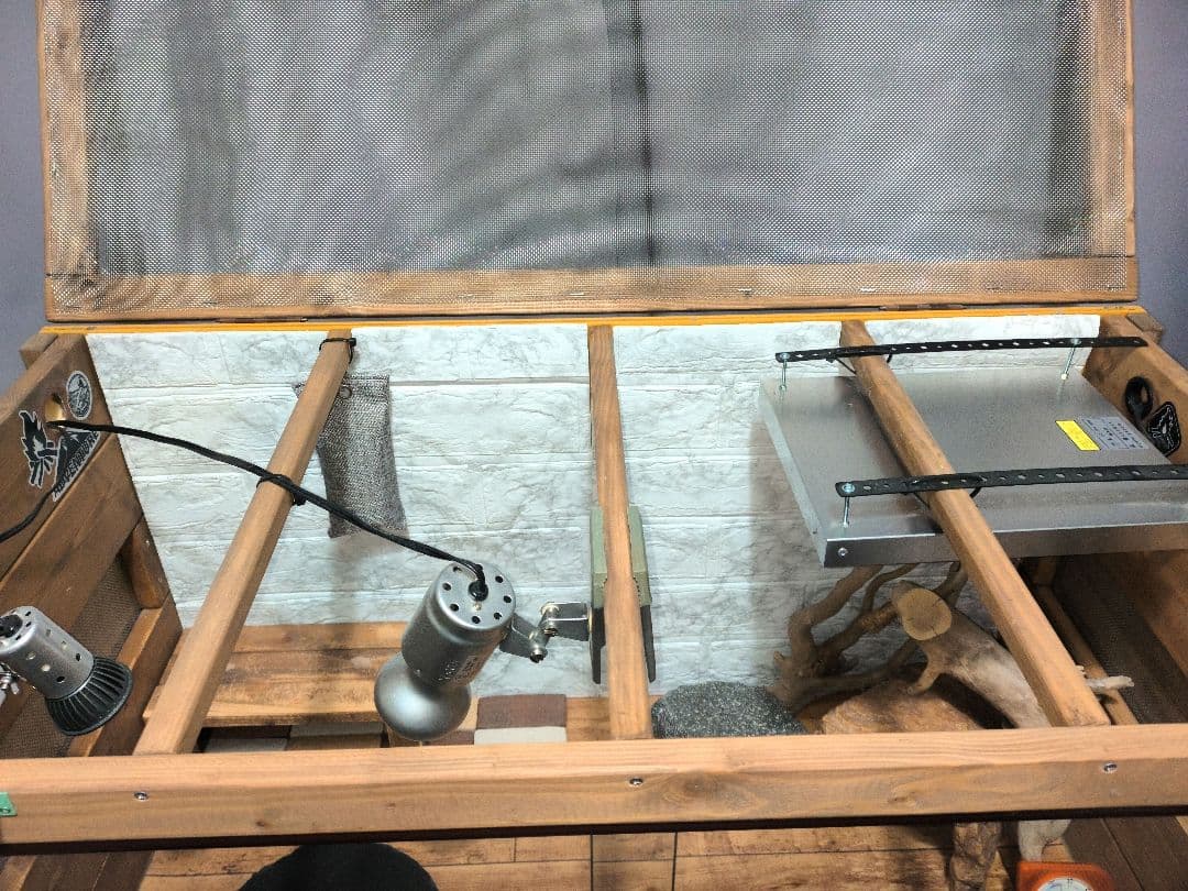 フトアゴヒゲトカゲ飼育フルセット