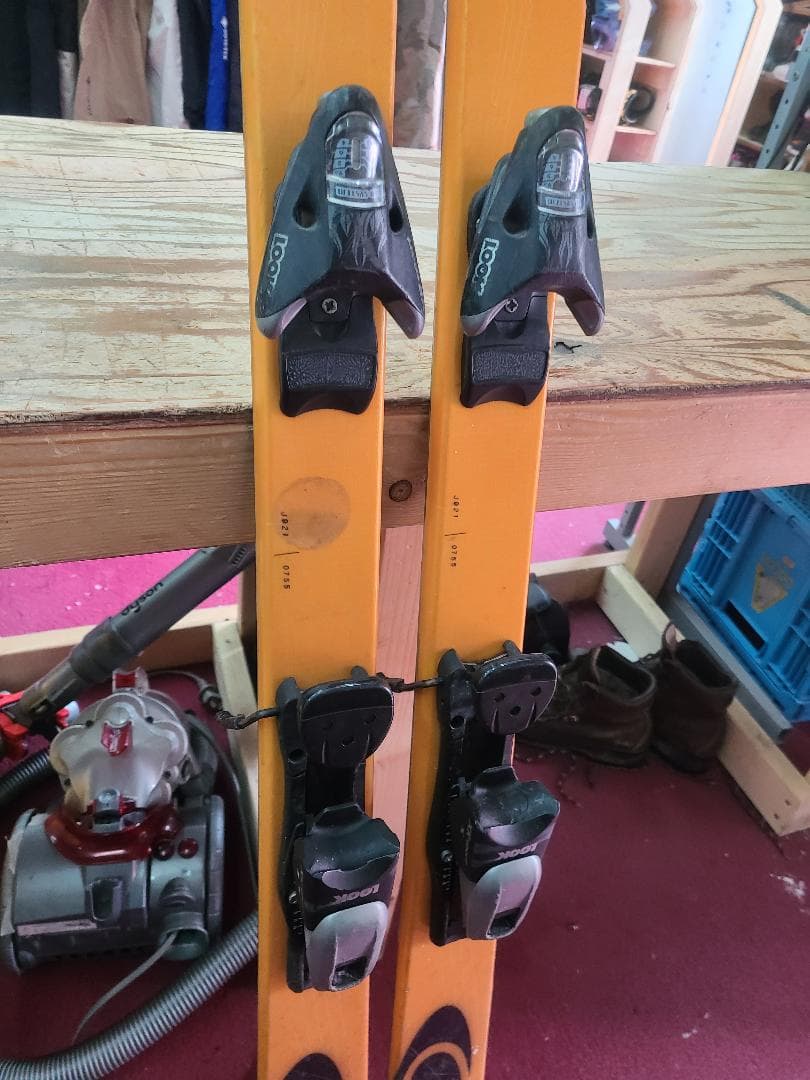 スキー 177 SALOMON XSCREAM TENEIGHTY