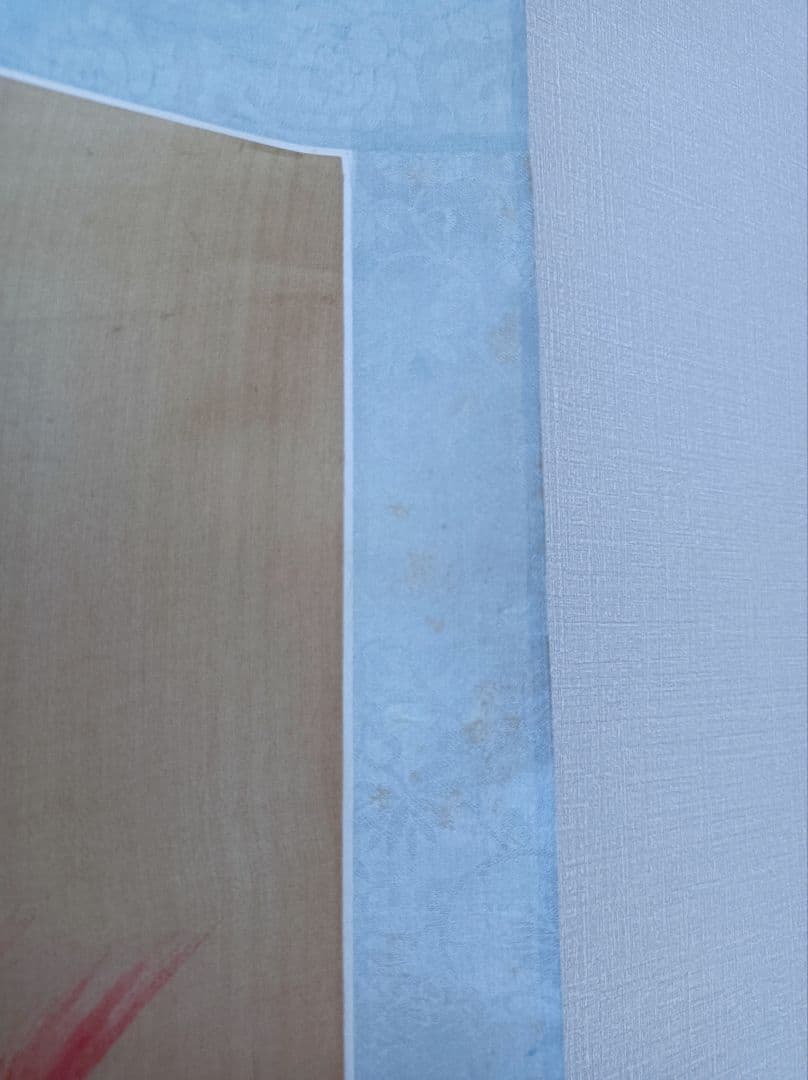 軸 開運 縁起物 おもてなし 絵 幸運 鳥 孔雀 中国 美術 骨董 インテリア