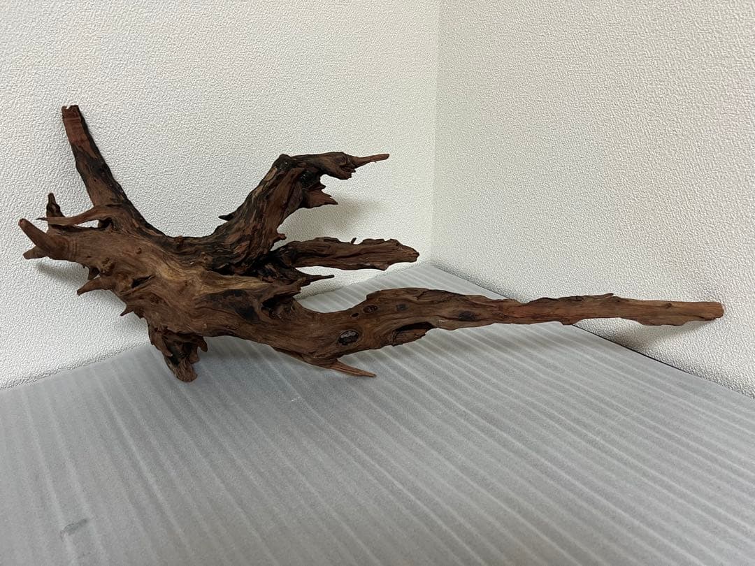 HX-080 流木　ホーンウッド　マシンガンウッド　アクアリウム　ブランチウッド