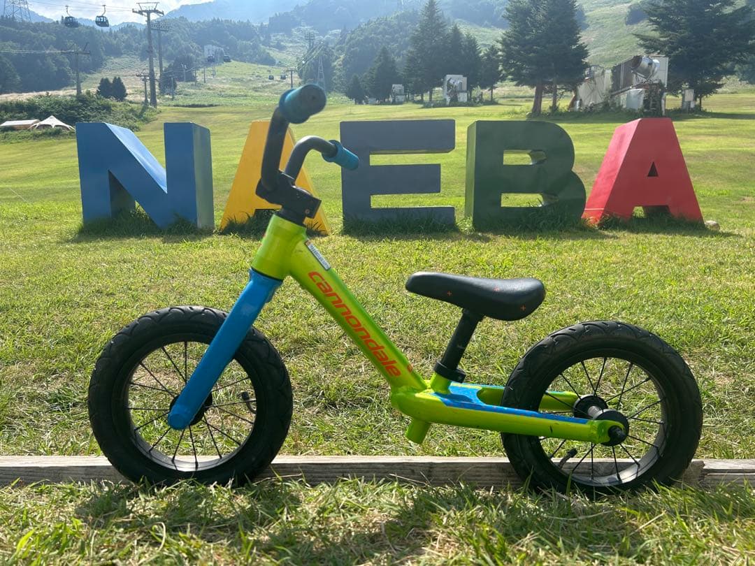 CANNONDALEキャノンデール 片持ちレフティ 限定車 ストライダー キッズ