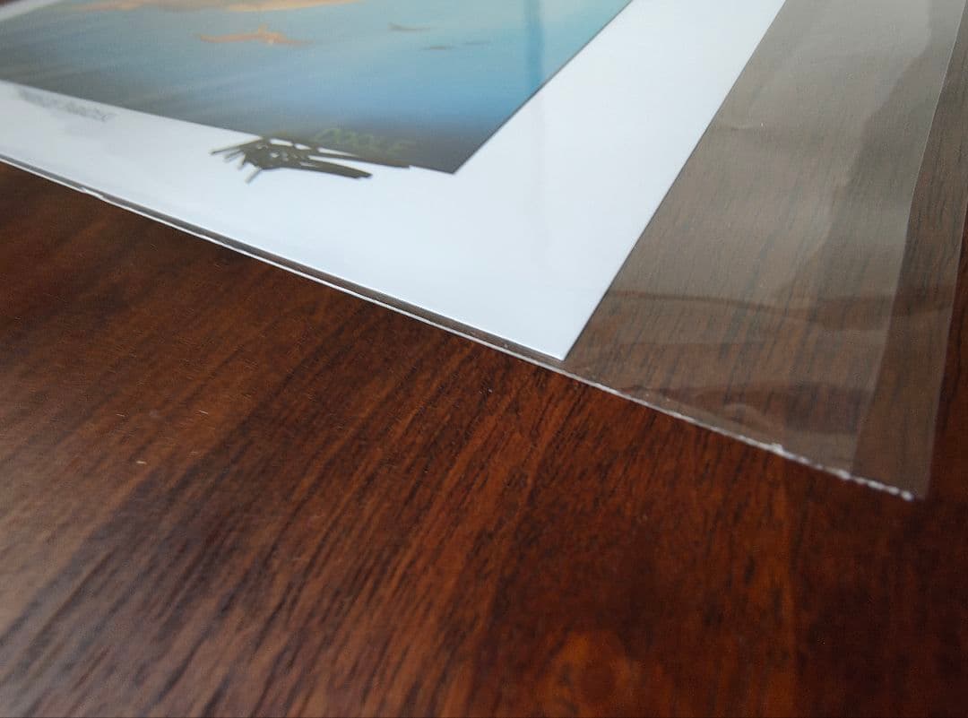 極楽鳥　Birds of Paradise 直筆サイン入りアートプリント １枚