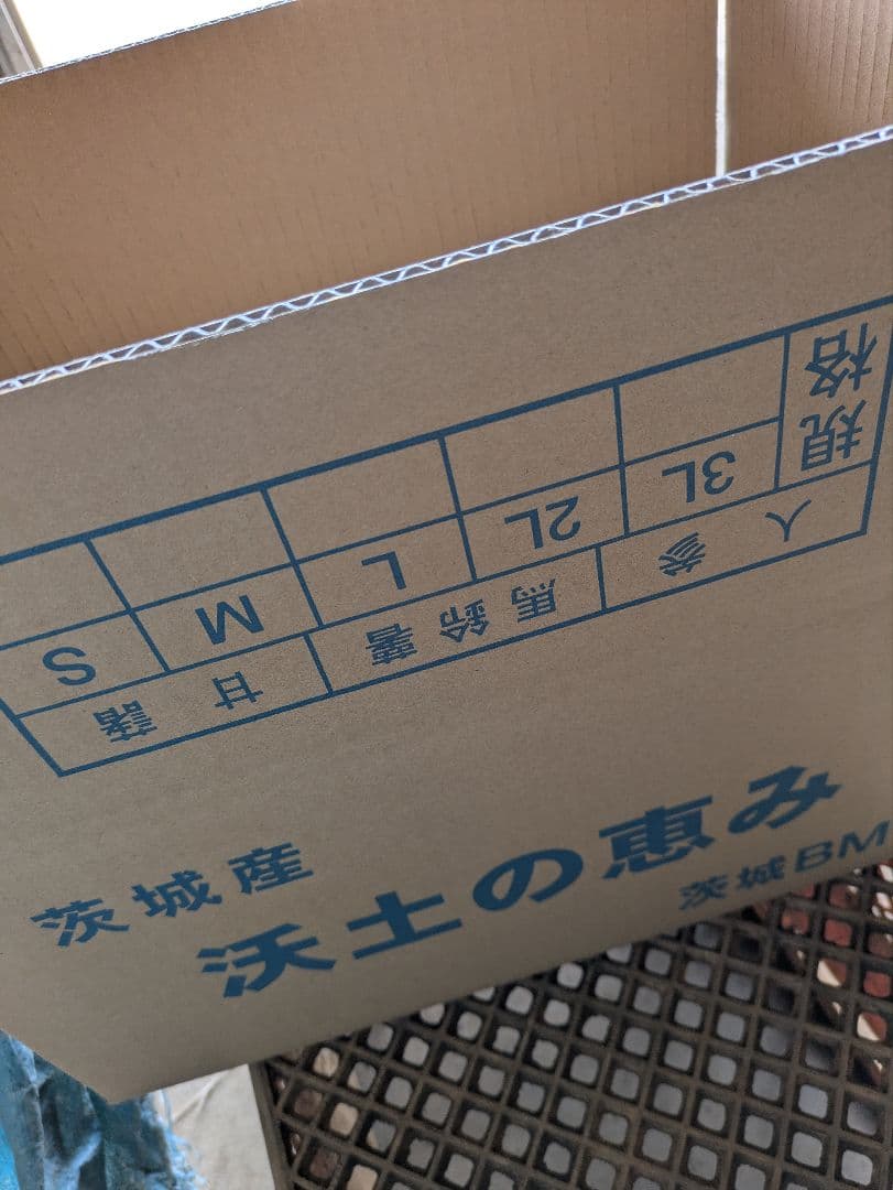 規格外 大根 100kg