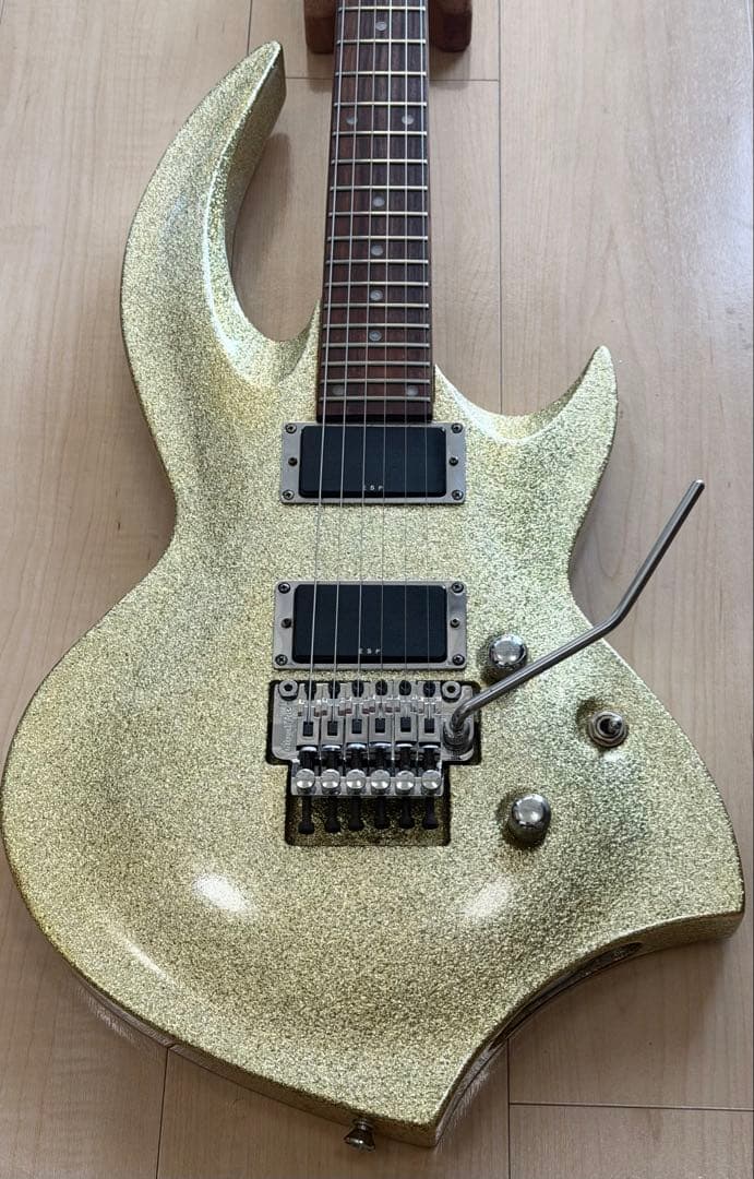 EDWARDS E-LK-100DK／Laputa kouichi ／ダムカラス