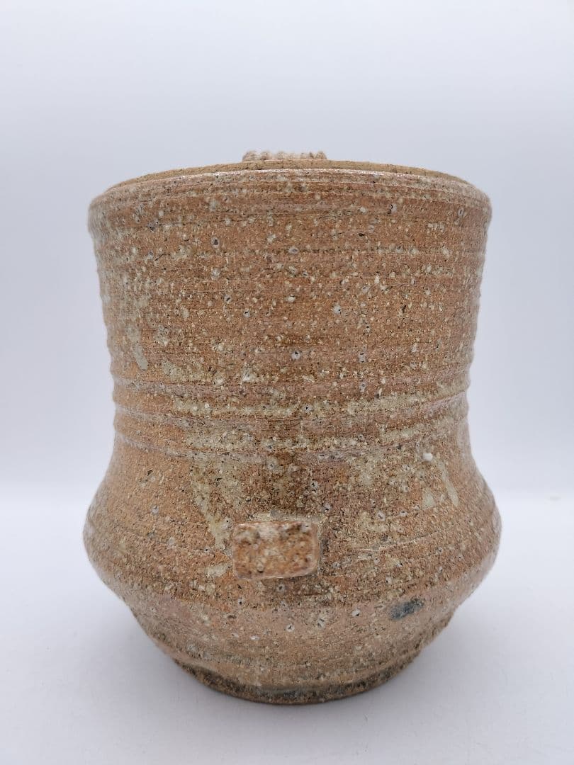 c523 水指 信楽山水 替蓋付 諏訪蘇山　木箱 茶道具 古物