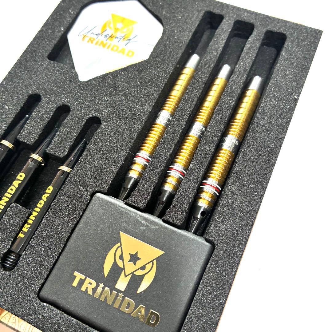 ゴメス16 EVO 山田勇樹 gomez16 トリニダード ダーツ 2BA