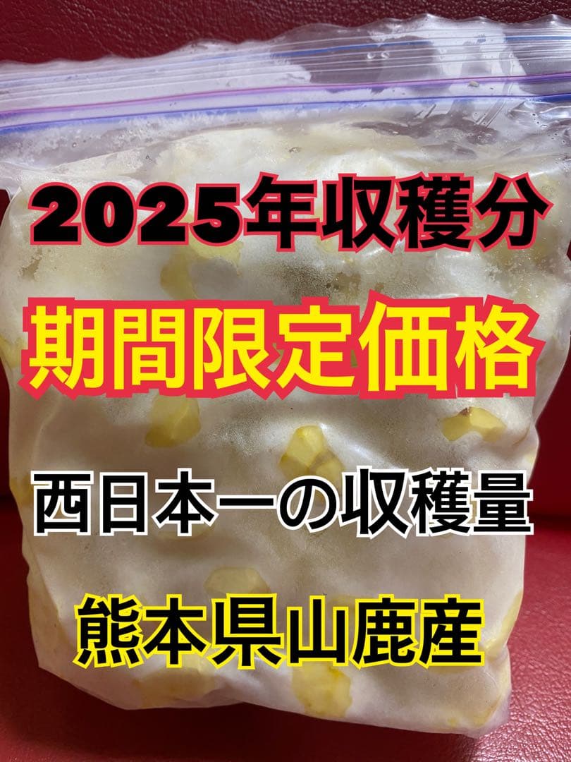 SANTAさま専用　むき栗