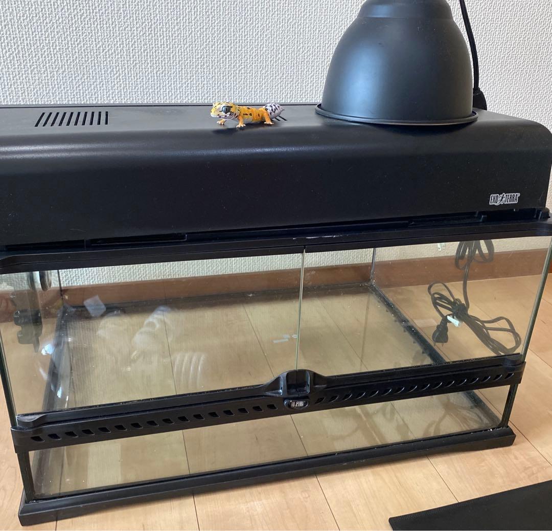 ★ペント様★ 飼育セット　飼育スターターキット