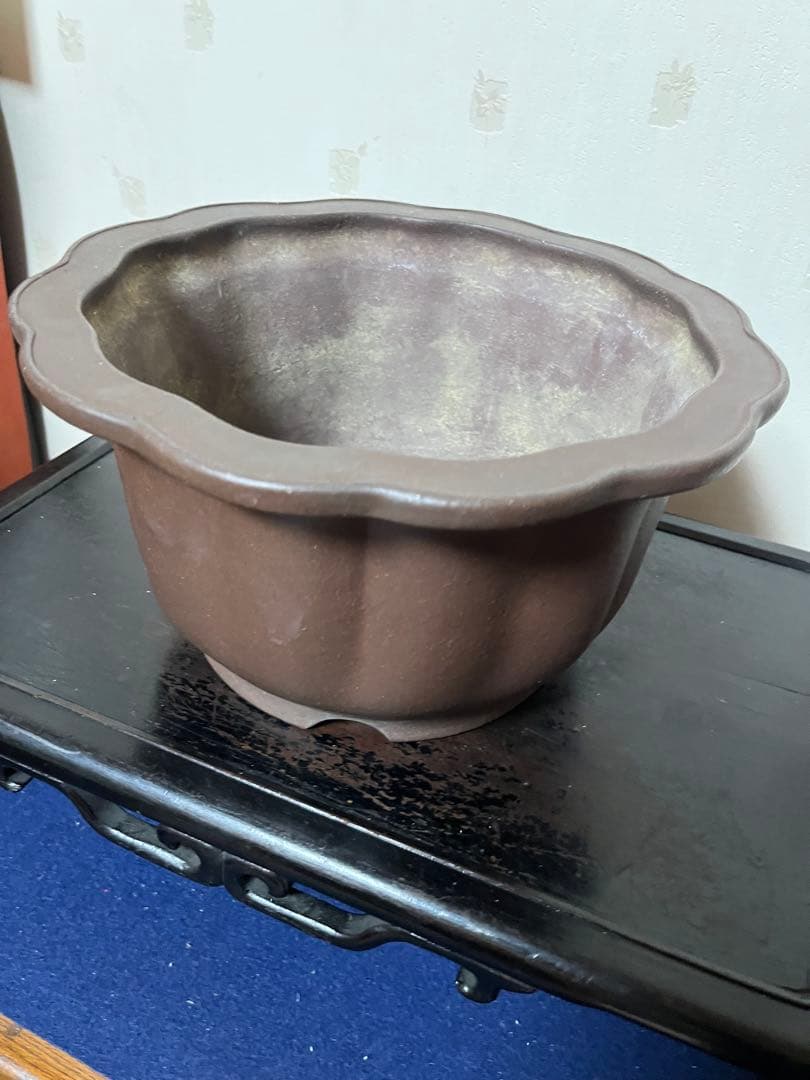 481 盆栽　盆栽鉢　植木鉢　和鉢　山秋