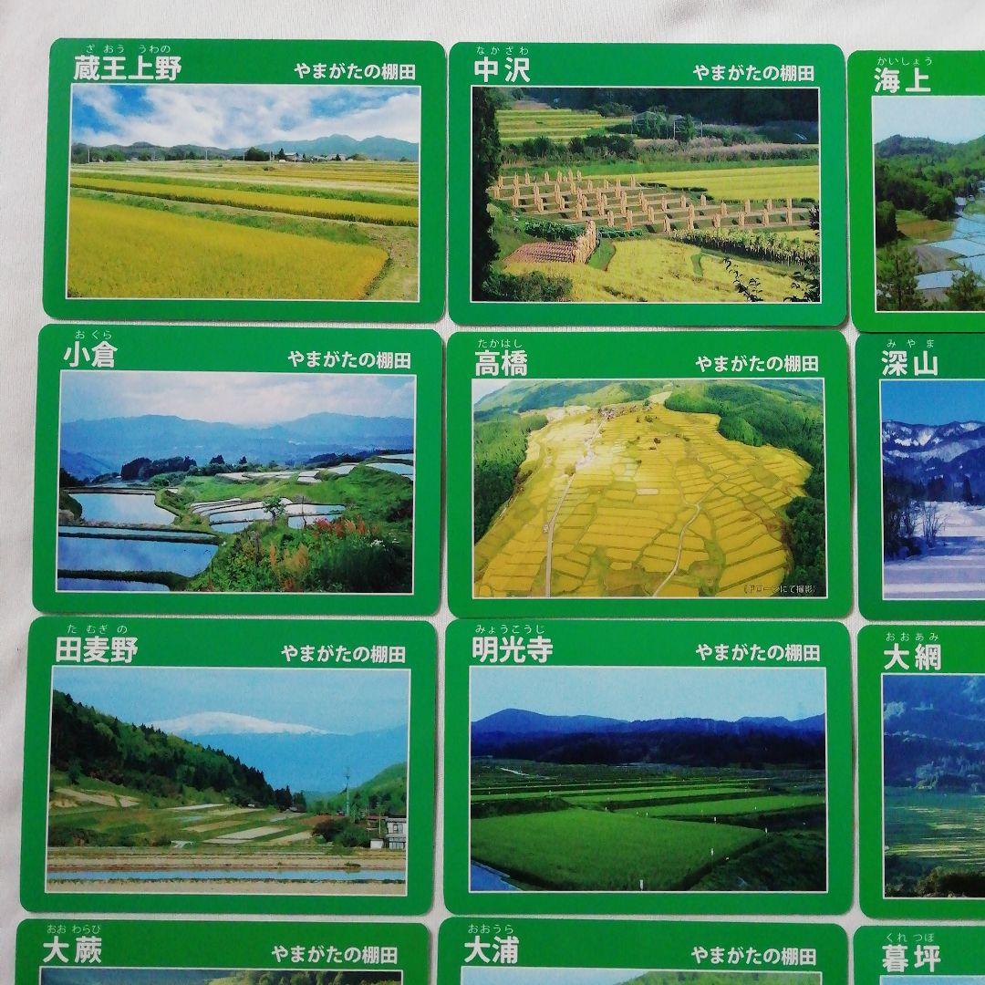 棚田カード　全15種セット　山形県◇やまがたの棚田　旧カード　四ヶ村　大蕨　越沢