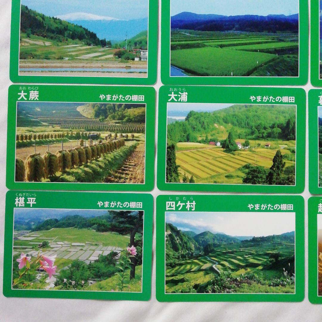 棚田カード　全15種セット　山形県◇やまがたの棚田　旧カード　四ヶ村　大蕨　越沢