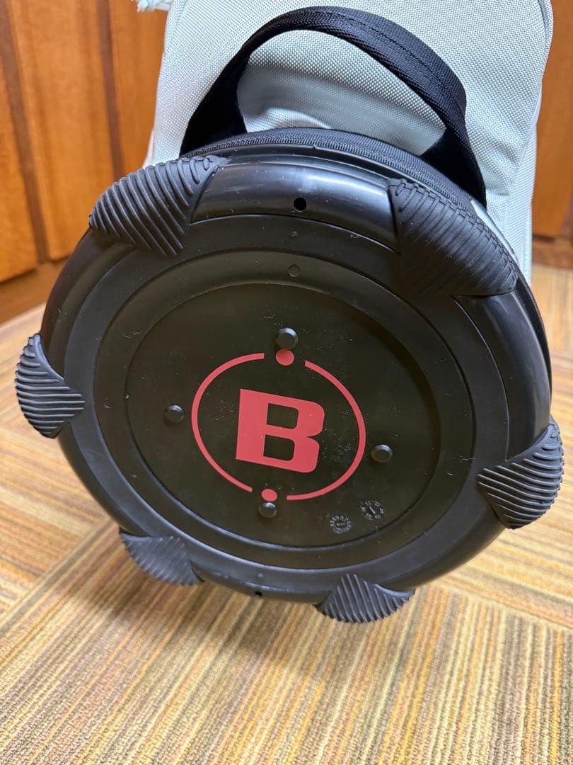 BRIEFING キャディバック　9.5径