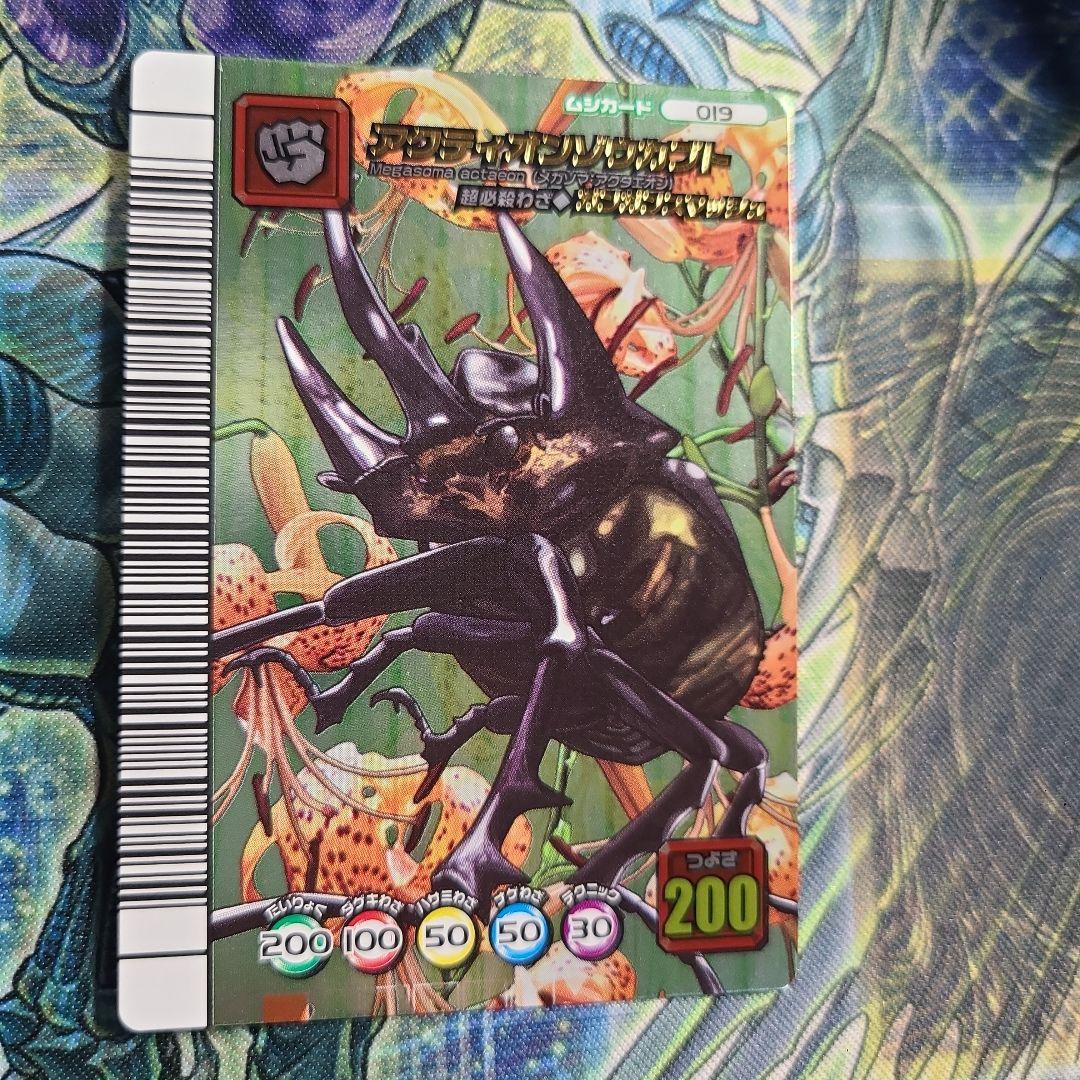 5周年 アクティオンゾウカブト