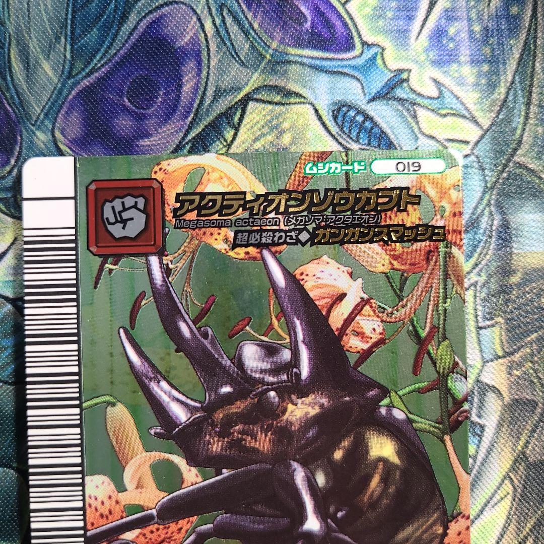 5周年 アクティオンゾウカブト