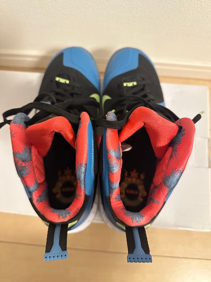 NIKE LEBRON IX ナイキ　レブロン9