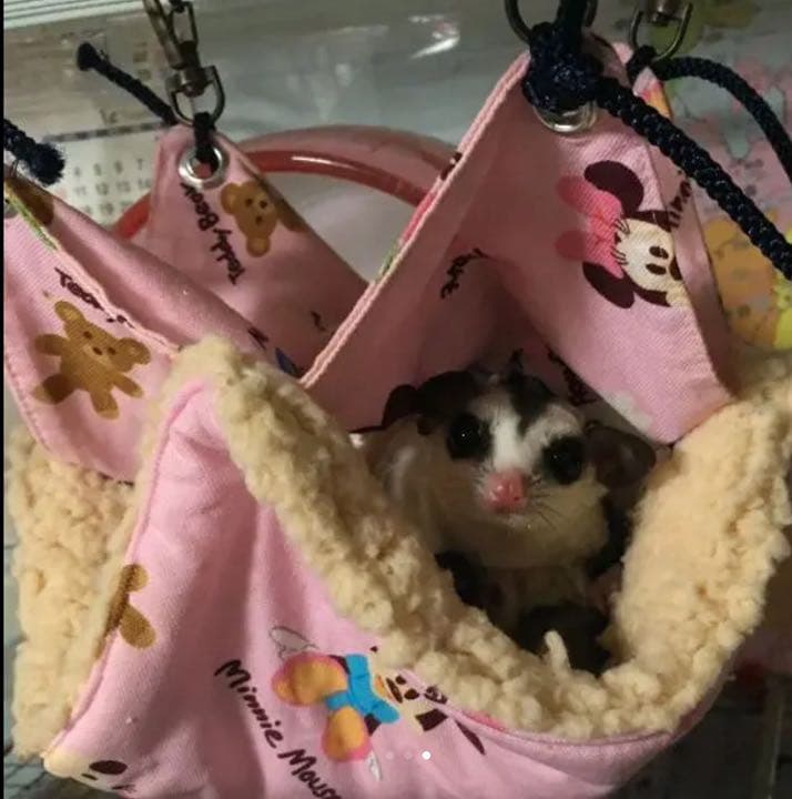 モモンガハウス(プリン・ソフトクリーム)  ボアベージュ  2050円