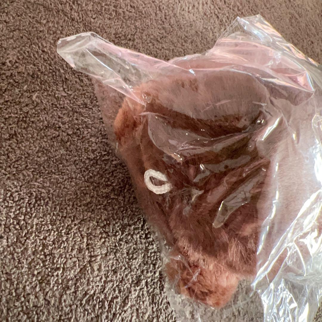 ミンハオ　ぬいぐるみ　10cm 新品　マスター　セブチ　svt