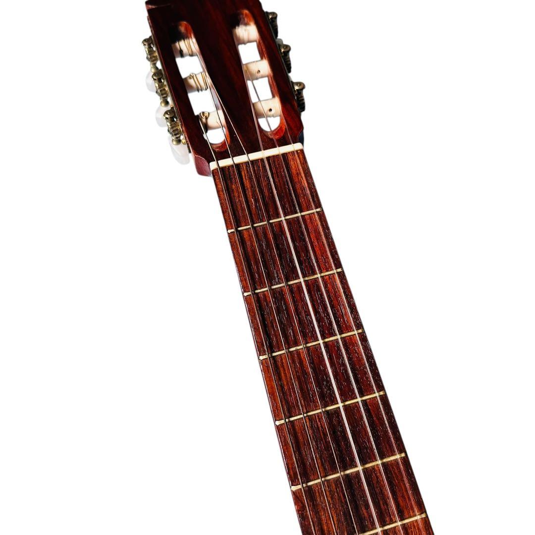 FERNANDES フェルナンデス　アコースティックギター　CC-15