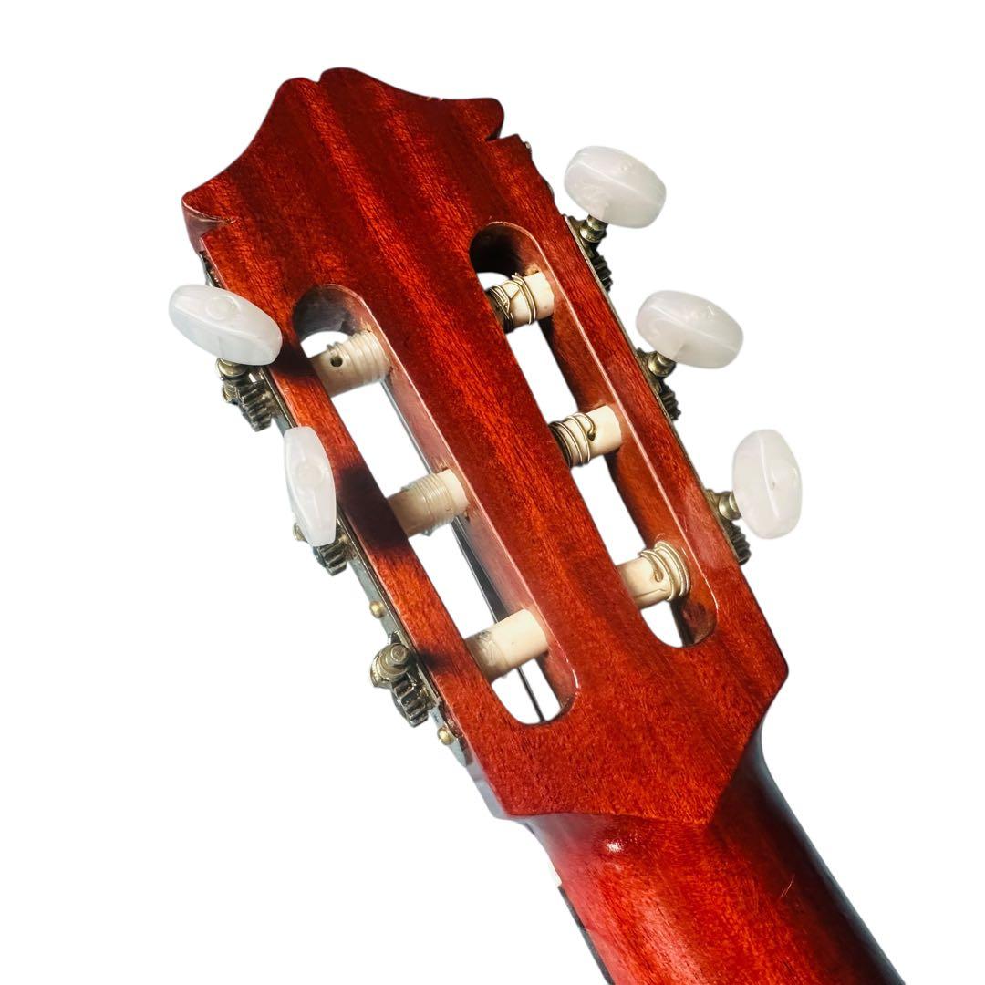 FERNANDES フェルナンデス　アコースティックギター　CC-15