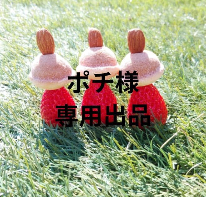 ポチ やよい800 20クール便