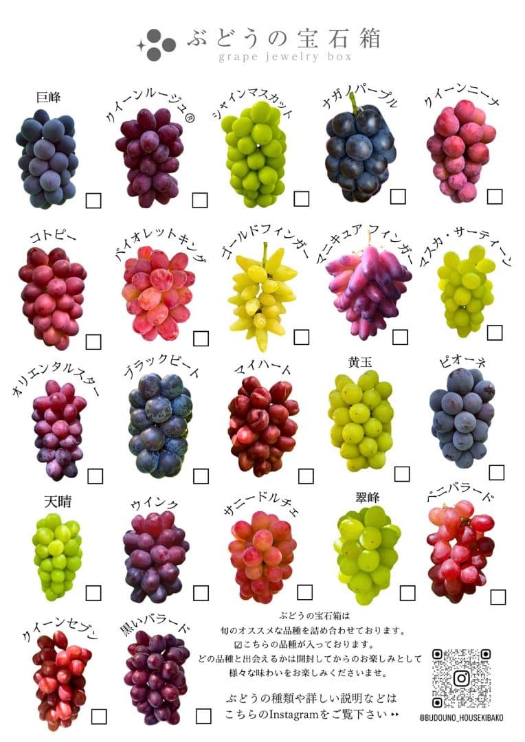 ⑤ grape Jewelry box　粒2kg