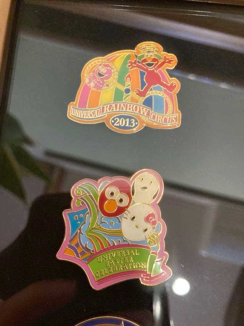 【希少・非売品】USJ 12周年ピンバッジ　盾&箱付き　バックドロップピンズ