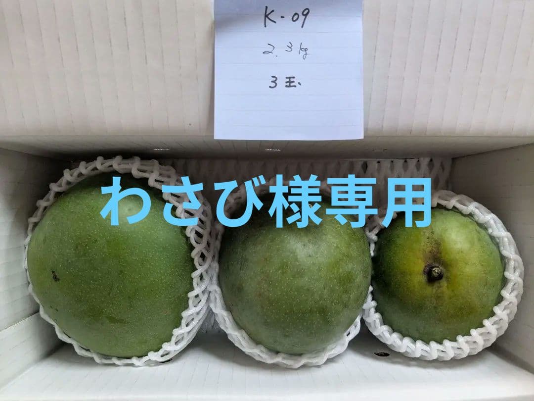 キーツマンゴー わさび様