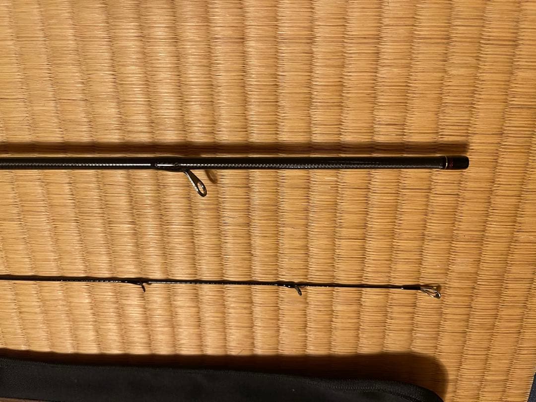 Daiwa ハートランド　冴掛　フェザータッチテクニカル　AGS24