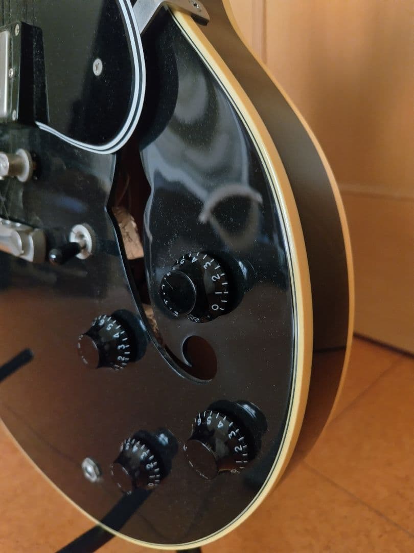 フジゲン セミアコ MSA-HP/BK