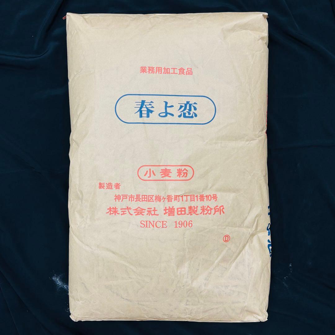 【2袋　賞味期限2025年7月17日】 春よ恋　増田製粉所　業務用小麦粉25kg