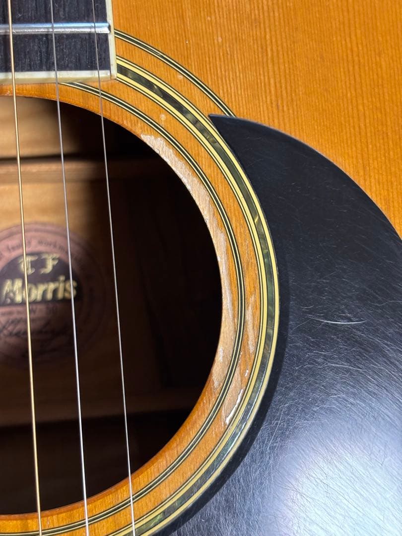 後期型！Morris モーリス　TF W-50 バックハカランダ3p